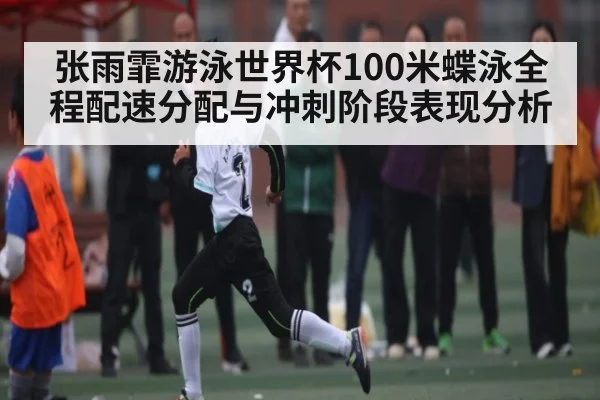 张雨霏游泳世界杯100米蝶泳全程配速分配与冲刺阶段表现分析