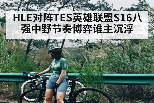HLE对阵TES英雄联盟S16八强中野节奏博弈谁主沉浮